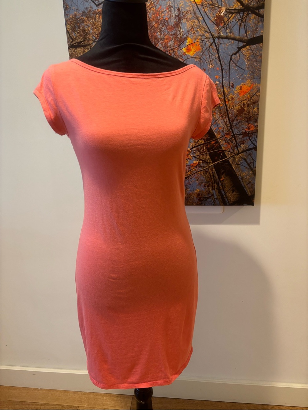 Moda International Coral Pink Short Sleeve Sheath Dress